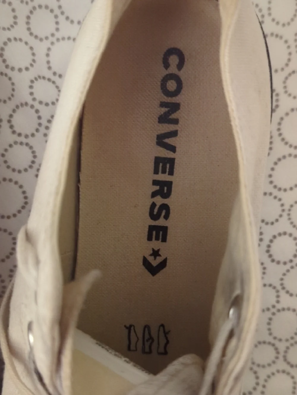 Converse Low-Top Canvas Sneakers in White with Black Logo